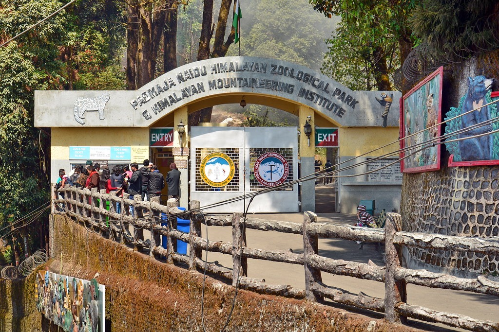 Pine View Nursery